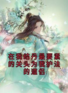 独家在我结丹最要紧的关头为我护法的道侣小说-主角楼心月沈凌川全文免费阅读