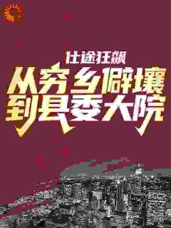 (精品)仕途狂飙：从穷乡僻壤到县委大院小说