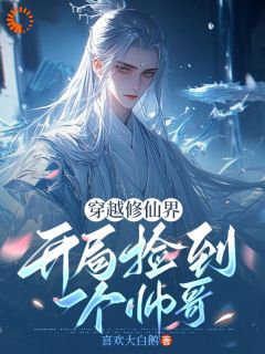 书荒推荐穿越修仙界，开局捡到一个帅哥(叶景昭楚时晏)在线试读