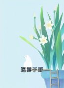 迷雾于野无弹窗在线阅读