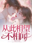 值得熬夜看完的从此相望不相闻小