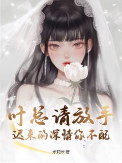 叶总请放手，迟来的深情你不配(新书)小说_沈棠叶仲文阅读