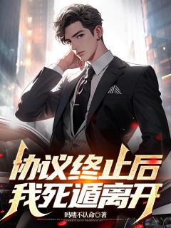 吗喽不认命写的小说协议终止后，我死遁离开在线阅读