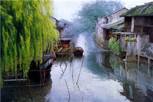 听风素养小说全文免费阅读(许鑫赵